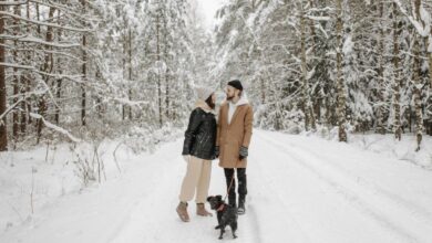 10 Best Winter Travel Destinations For Snow Lovers - Explore Snowy Paradises