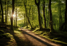 The Ultimate Backpacking Routes Across Europe: Unveiling The Best Trails And Tips For Your Adventure