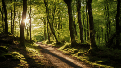 The Ultimate Backpacking Routes Across Europe: Unveiling The Best Trails And Tips For Your Adventure